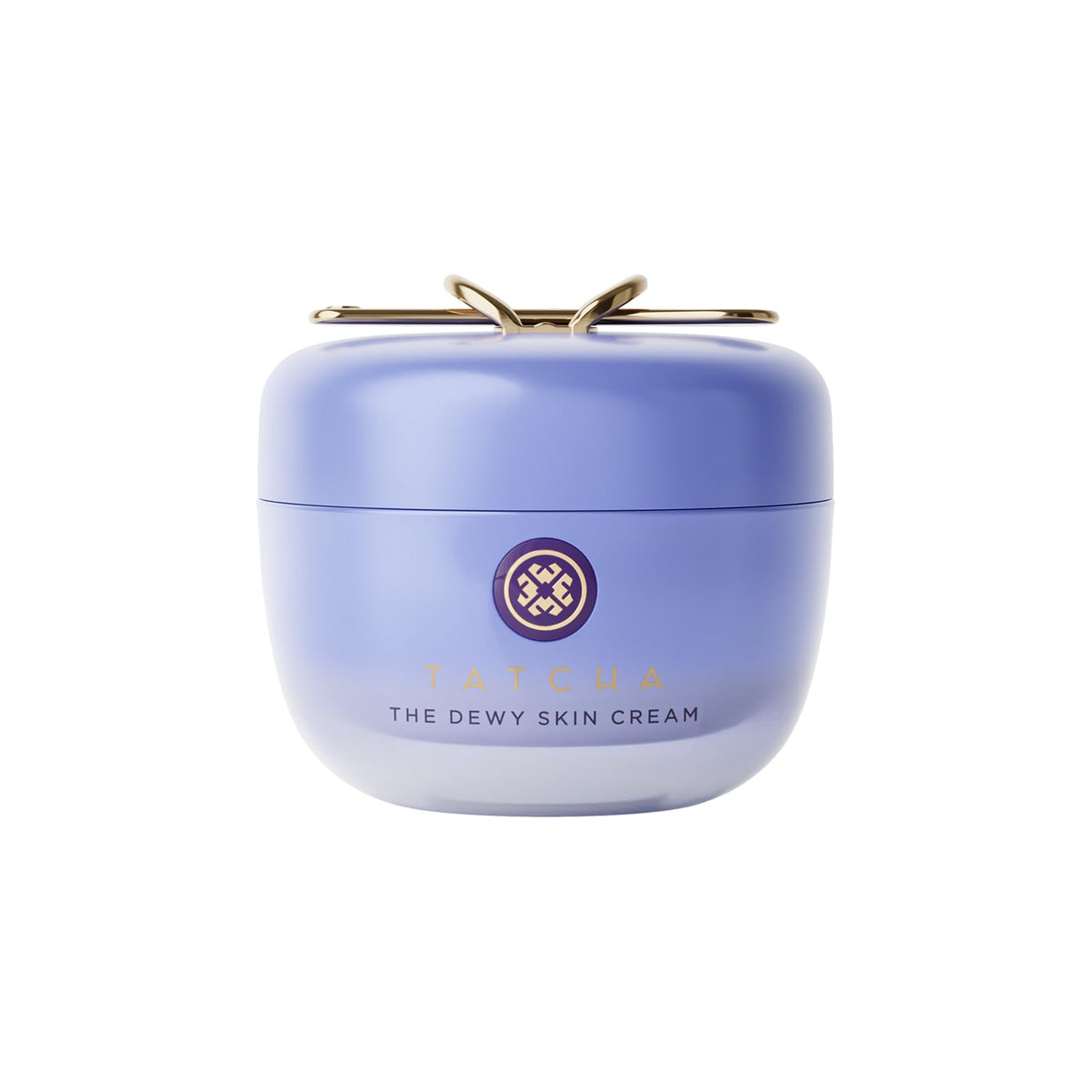 Dewy Skin Cream Rich Plumping Moisturizer with Hyaluronic Acid