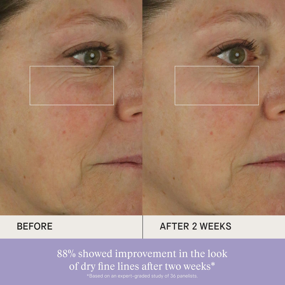 Dewy Skin Cream Rich Plumping Moisturizer with Hyaluronic Acid