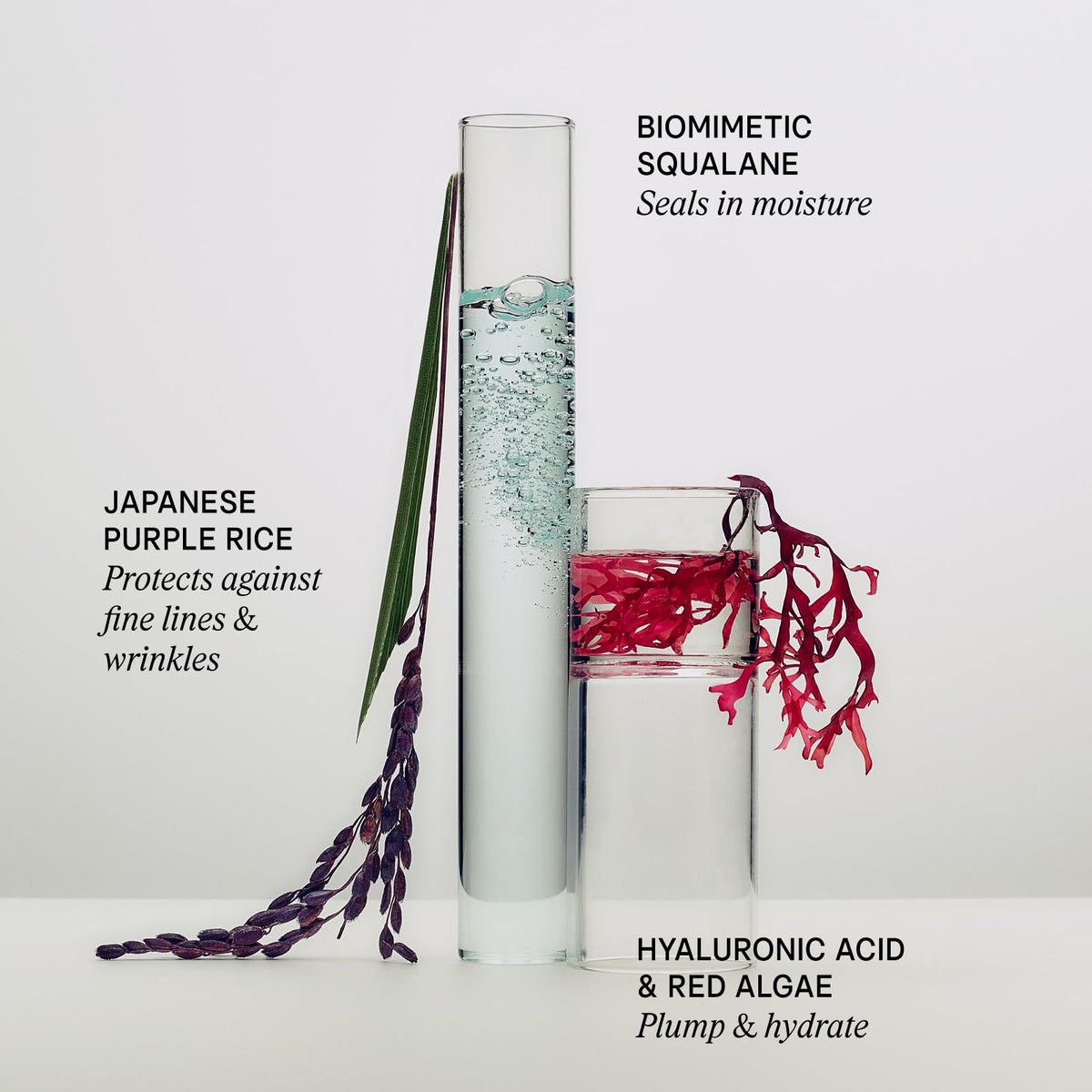 Dewy Skin Cream Rich Plumping Moisturizer with Hyaluronic Acid